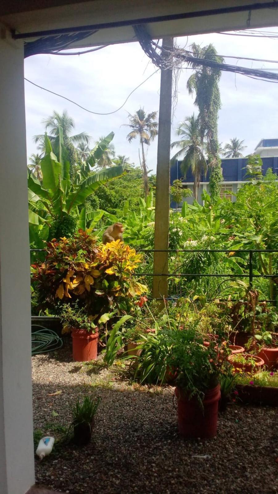 Indeevaram Residency Thiruvananthapuram Eksteriør bilde